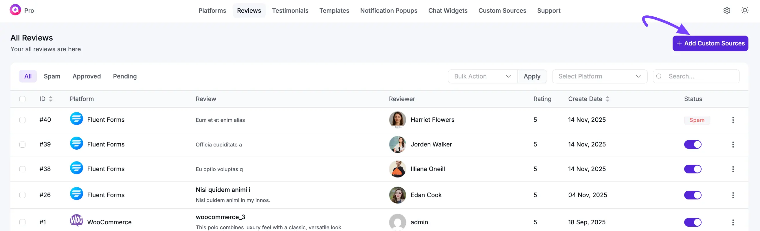 The "Add Custom Source" button