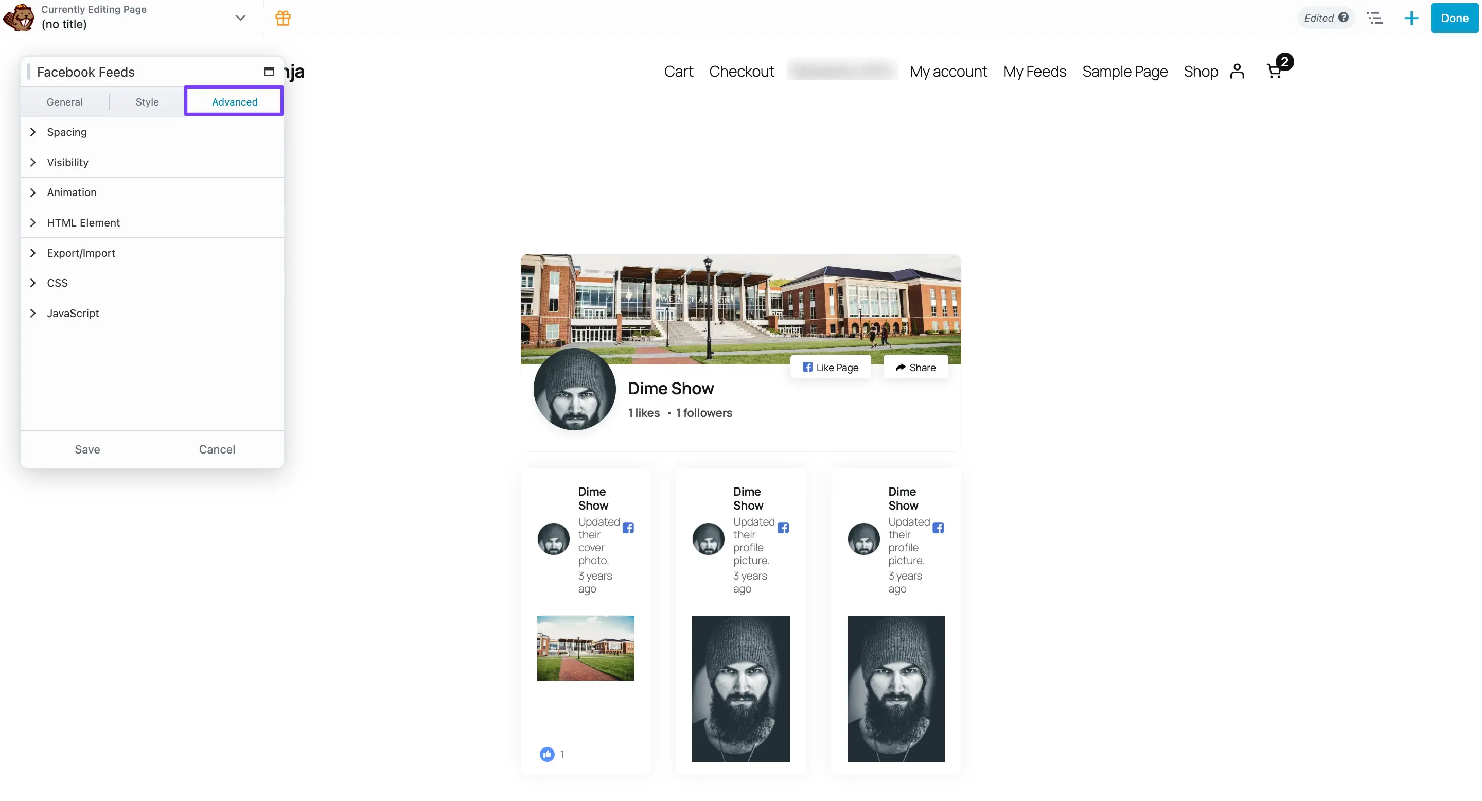 The 'Advanced' tab options in Beaver Builder