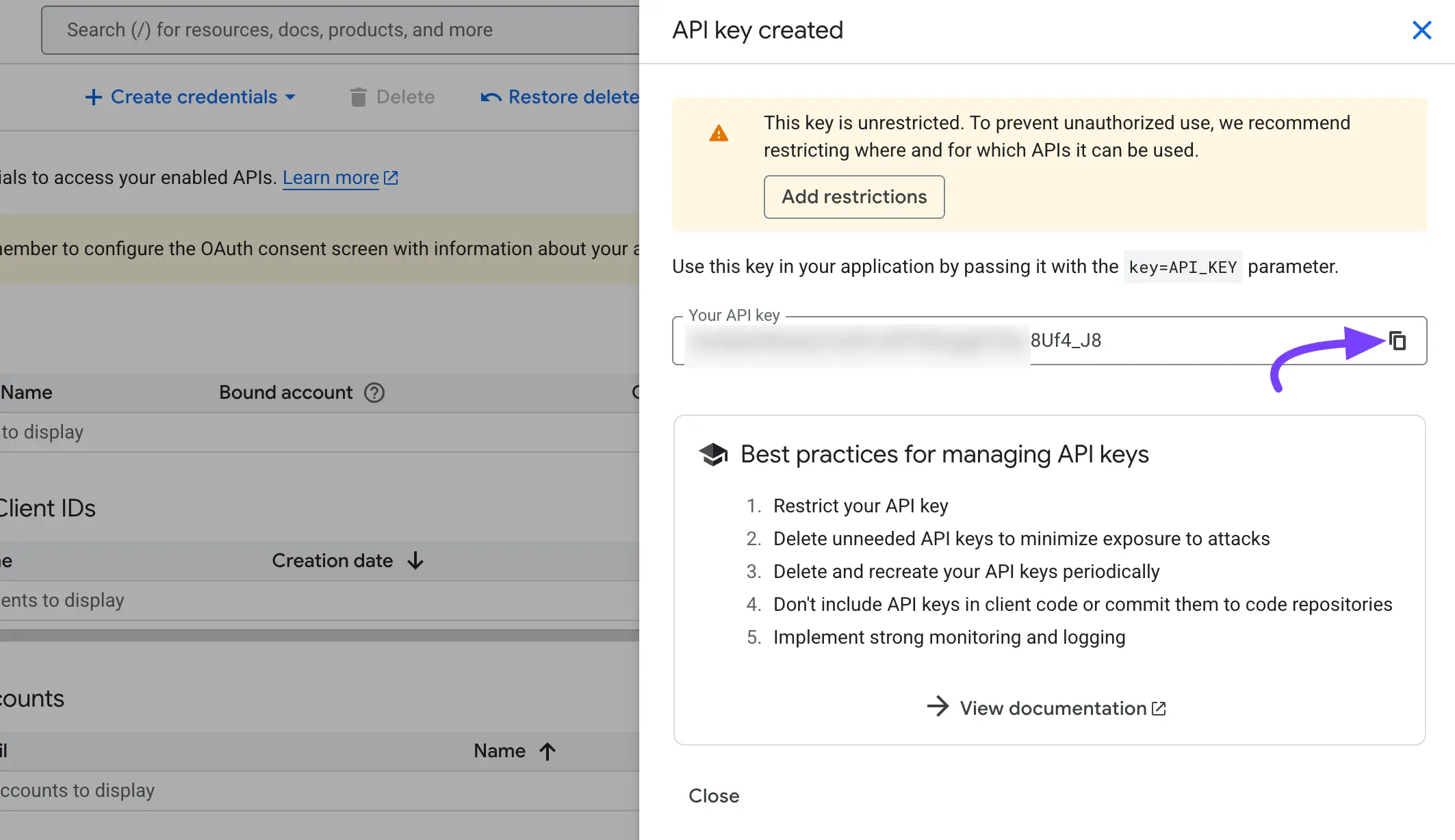 Copying the newly created API Key