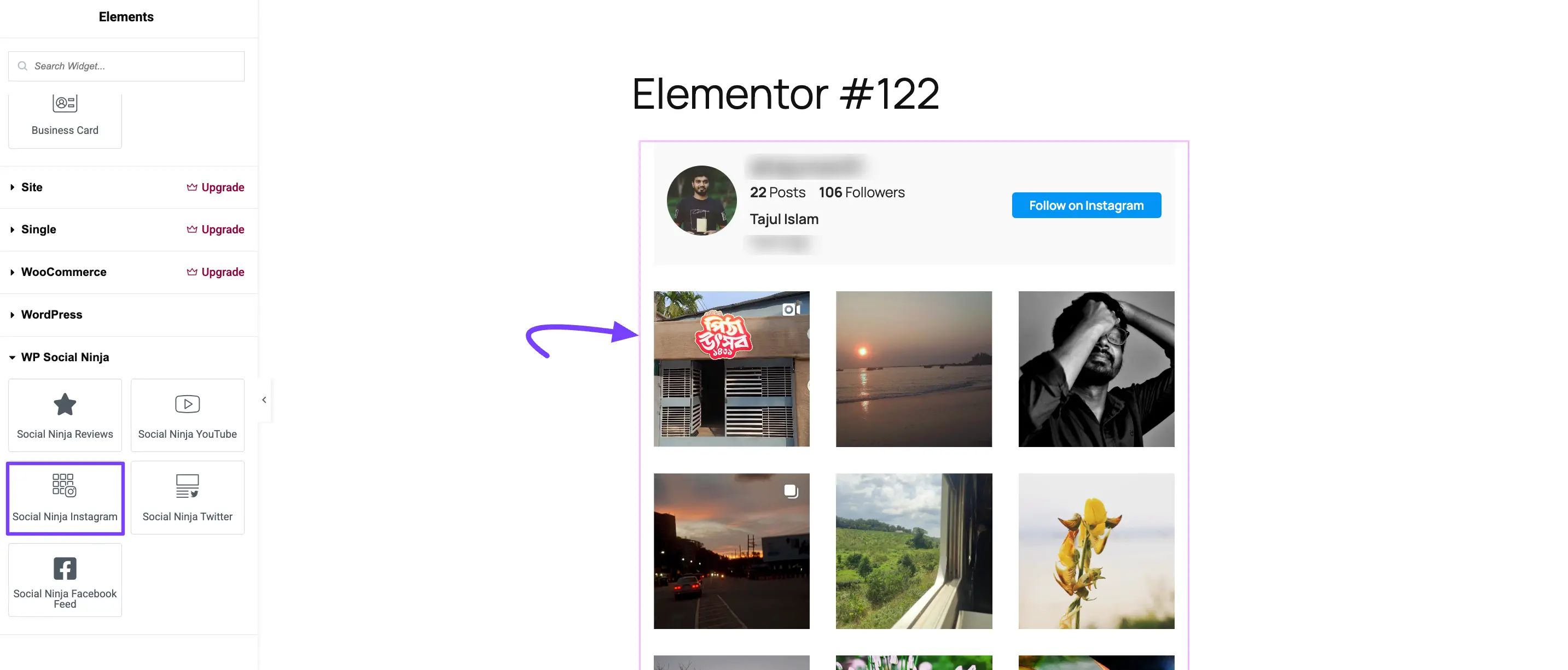 Finding the Social Ninja widgets in the Elementor panel