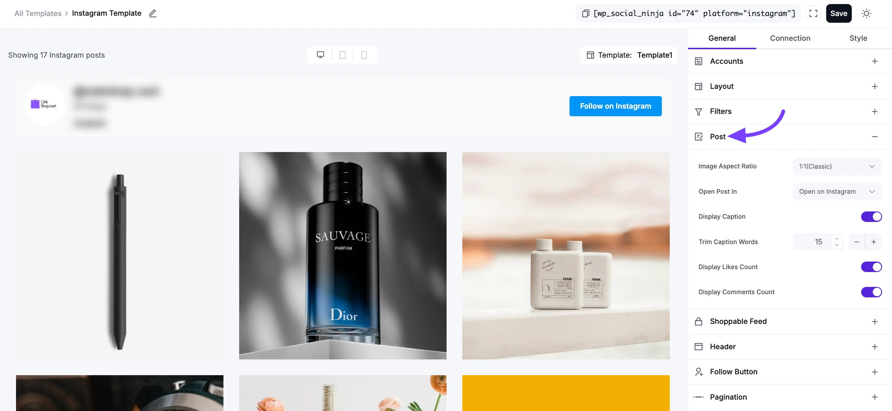 Instagram Feed Template Settings